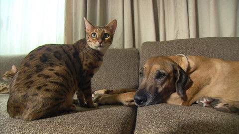 Chcete mě? - 12. dubna 2015