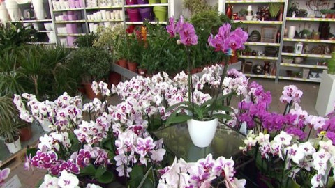 Polopatě - 13. dubna 2014