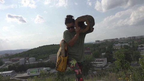 Týden v regionech (Brno) - 20. srpna 2022