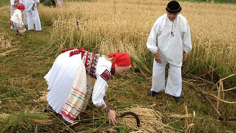 Naše tradice - Dožínky