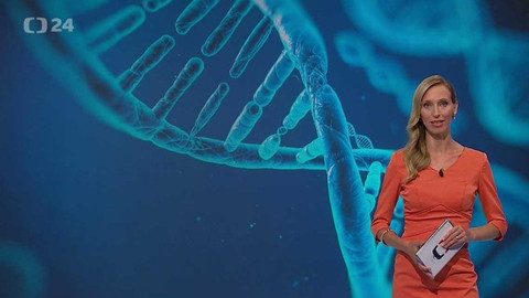 Horizont ČT24 - 31. srpna 2017