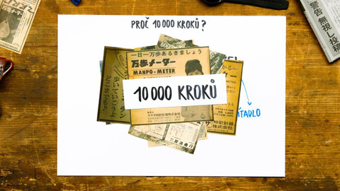 What the Fact? - Proč máme denně nachodit alespoň 10 000 kroků?