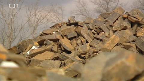 Černé ovce - 12. března 2013