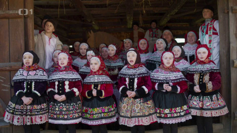 Herbář - 21. prosince