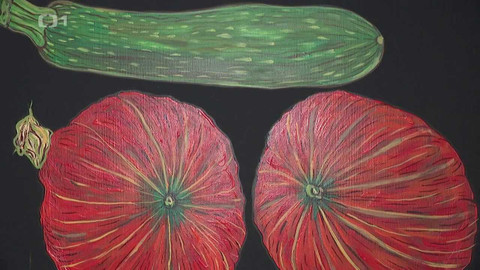 Týden v regionech (Brno) - 12. srpna 2023