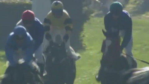 Velká pardubická - Všech 8 dostihů