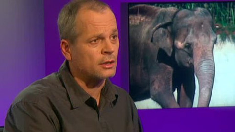 Před půlnocí - 7. ledna 2013