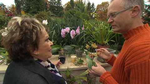 Hobby naší doby - 11. ledna 2014