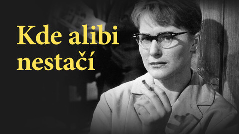 Kde alibi nestačí