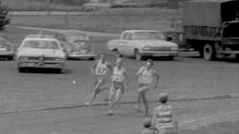 Archiv D - Cesta za oceán