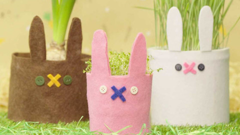 Déčko dílna - Zajda v osení