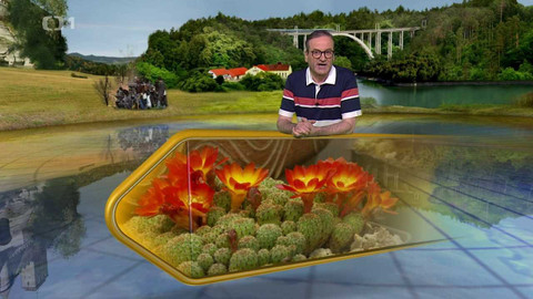 Toulavá kamera - 11. června 2023