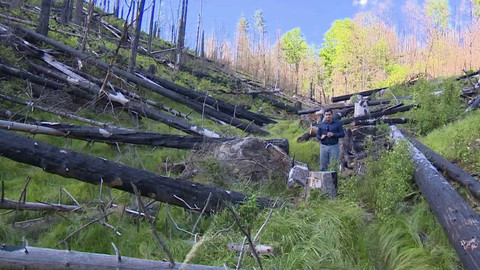 90’ ČT24 - Soud řeší požár v Českém Švýcarsku