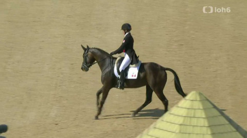 XXXI. letní olympijské hry 2016 Rio de Janeiro - Jezdectví: Všestrannost, drezura