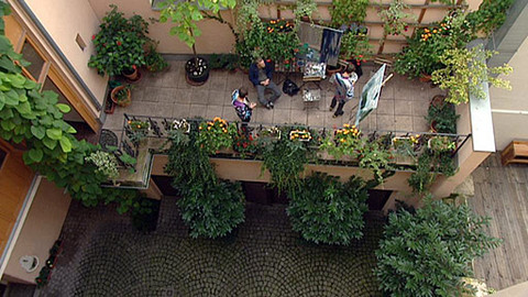 Tajemství pražských dvorků - Dvorek Petrská 21