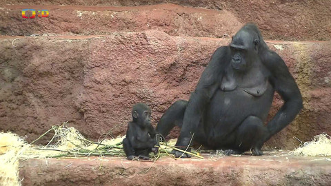 Zprávičky - 6. ledna