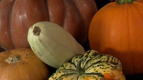 Polopatě - 20. září 2015