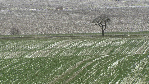 Nedej se! - Žít s krajinou