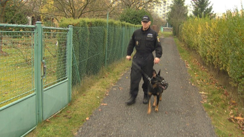 Chcete mě? - 21. ledna 2018