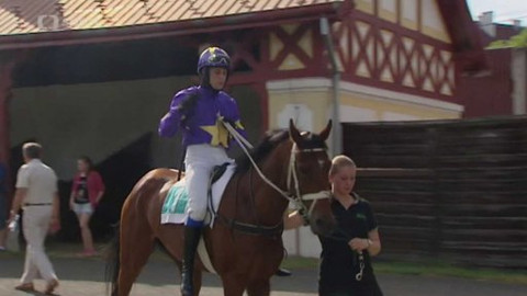 Turf - 17. června 2015