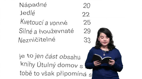 Jedna báseň - Kristýna Svidrňová