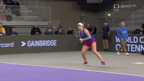 Billie Jean King Cup - Chorvatsko - Česko