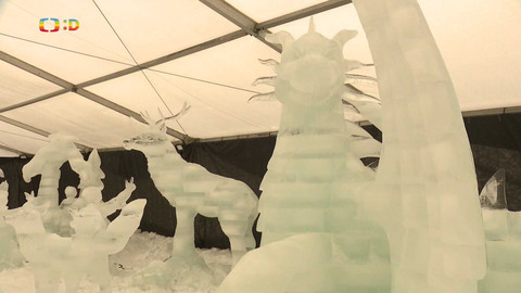 Zprávičky - 18. ledna