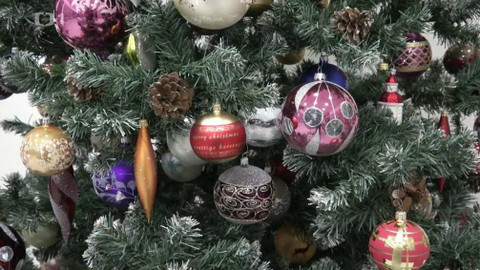 Toulavá kamera - 20. prosince 2020