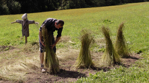 Co naše babičky uměly a na co my jsme zapomněli - Len a hedvábí