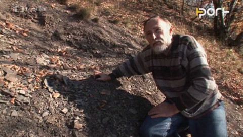 PORT - 5. listopadu 2008