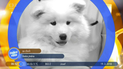 Dobré ráno - 19. března 2018