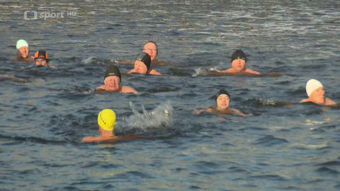 Plavání - Memoriál Alfréda Nikodéma