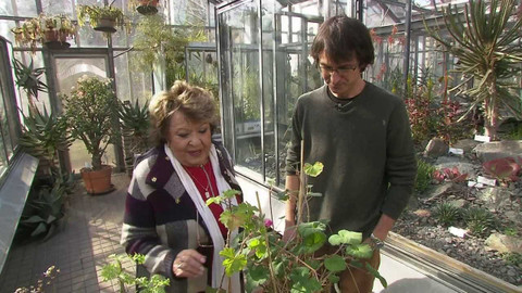 Hobby naší doby - Hobby naší doby - letní speciál