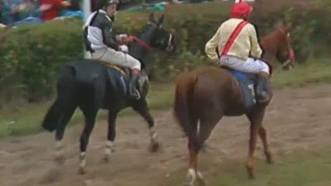 Sportovní vzpomínky - Pardubické vzpomínky I.