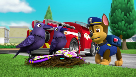 Tlapková patrola - Tlapky loví tlapkátor / Tlapky zachraňují vrány