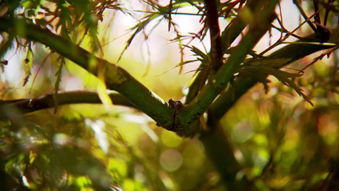 Polopatě - 20. června 2021