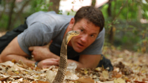60 zvířecích zabijáků - Epizoda 8/20