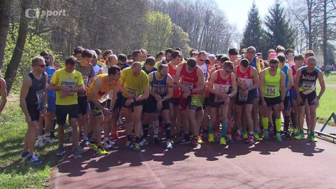 Sport v regionech - Běh lipovou alejí, Nymburk