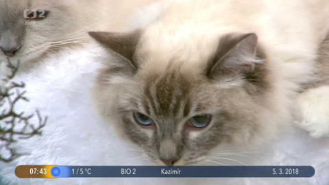 Dobré ráno - 5. března 2018