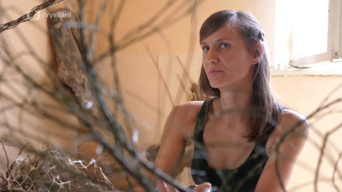 PROFIL - Anna Ročňová