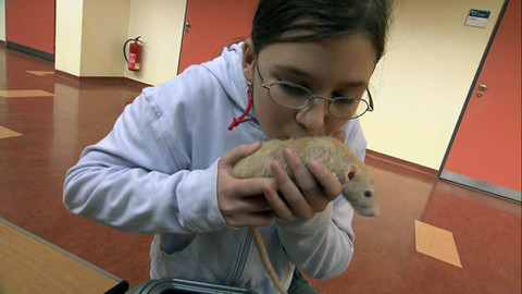 Zoománie - Epizoda 8/17