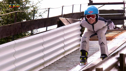 Lvíčata - 15. června 2024