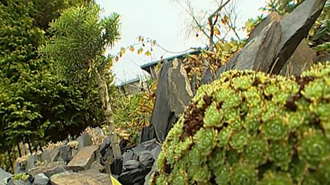 Zahrada je hra - 19. února 2006