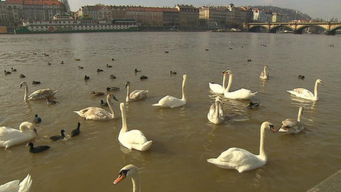 Turbulence - 22. prosince 2013