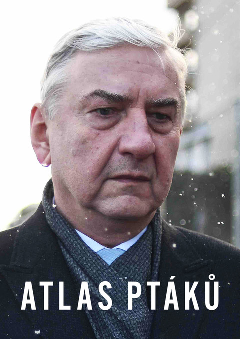 Atlas ptáků