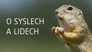 O syslech a lidech
