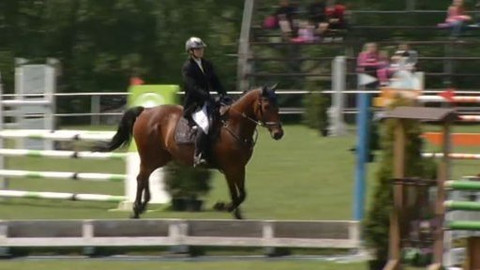 Jezdectví - Velká cena Kolína v Němčicích