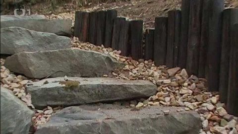 Zahrada je hra - 15. února 2007