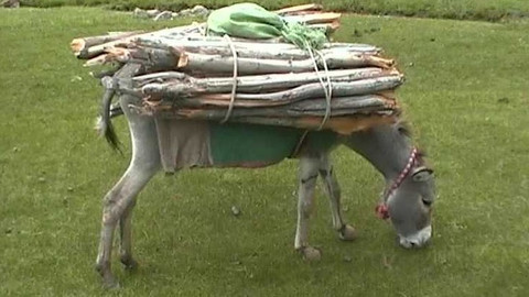 Objektiv - 10. září 2006