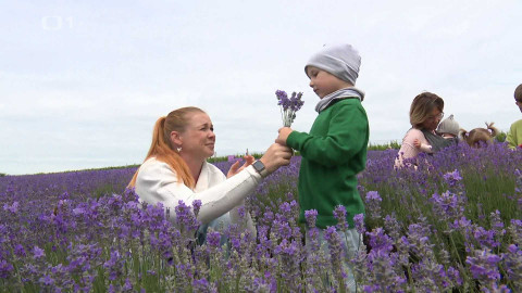 Týden v regionech (Brno) - 15. června 2024